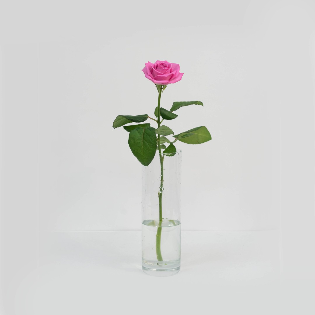 Роза розовая 40 см. 1 шт.